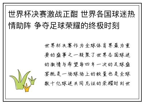 世界杯决赛激战正酣 世界各国球迷热情助阵 争夺足球荣耀的终极时刻